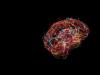 Квантовый компьютер или сознание вне мозга Мозг работает как квантовая система